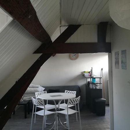 Appartement Spacieux Vue Sur Loire Proche Du Centre Blois Eksteriør bilde