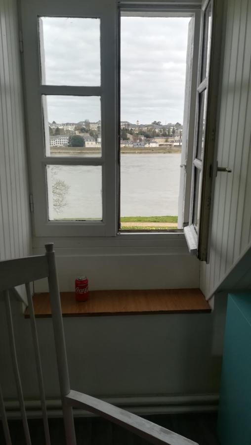 Appartement Spacieux Vue Sur Loire Proche Du Centre Blois Eksteriør bilde