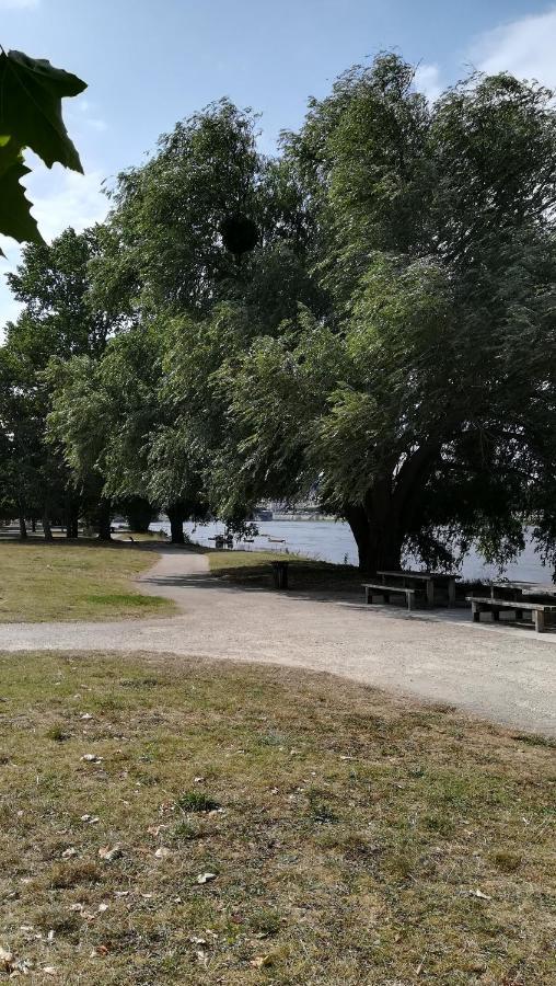 Appartement Spacieux Vue Sur Loire Proche Du Centre Blois Eksteriør bilde