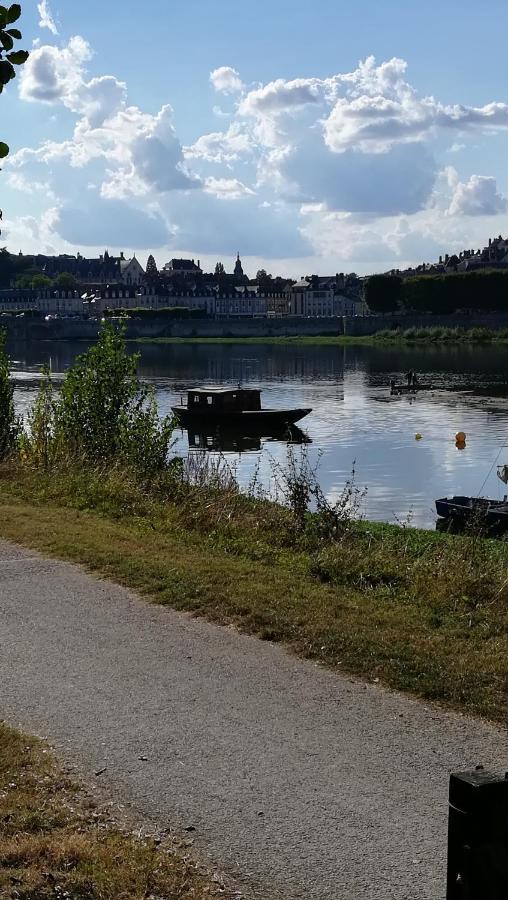 Appartement Spacieux Vue Sur Loire Proche Du Centre Blois Eksteriør bilde