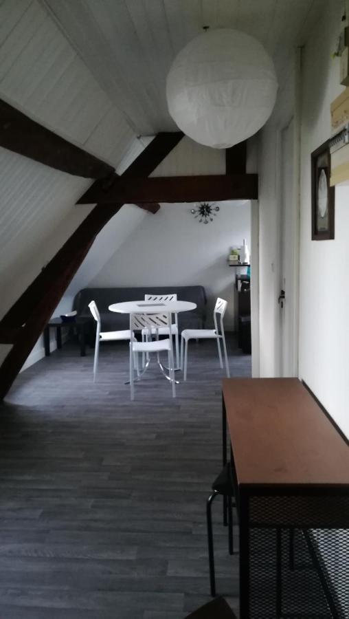 Appartement Spacieux Vue Sur Loire Proche Du Centre Blois Eksteriør bilde