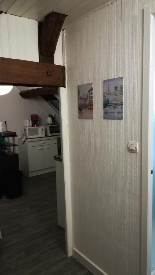 Appartement Spacieux Vue Sur Loire Proche Du Centre Blois Eksteriør bilde