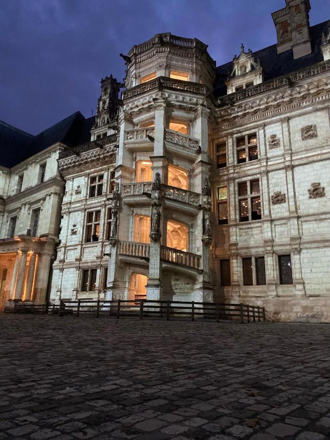 Appartement Spacieux Vue Sur Loire Proche Du Centre Blois Eksteriør bilde