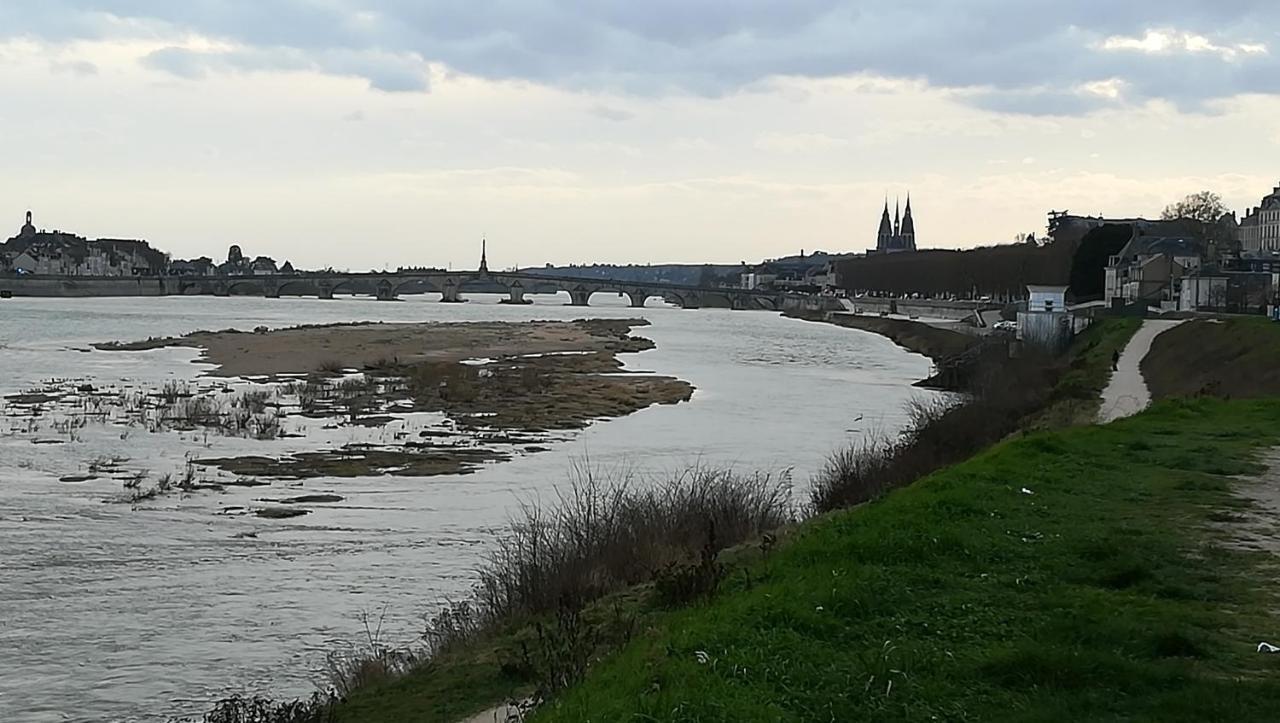 Appartement Spacieux Vue Sur Loire Proche Du Centre Blois Eksteriør bilde